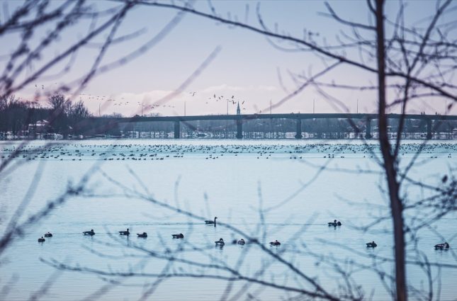 Saint-Jean-sur-Richelieu : haut en émotions !