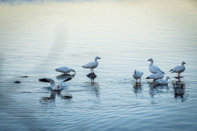 Bienvenue sur<br>notre petit nuage