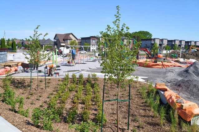 Construction du parc Bella